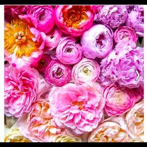 Meet your Posher, Raina